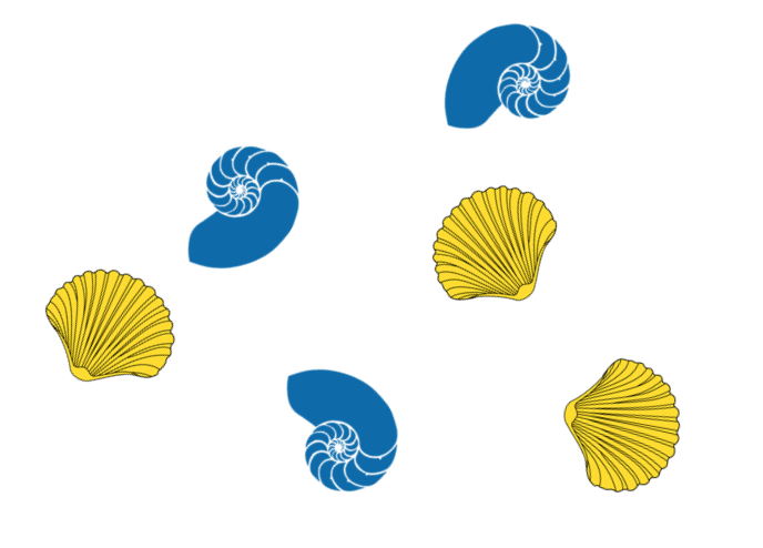 Image of yellow and blue shells